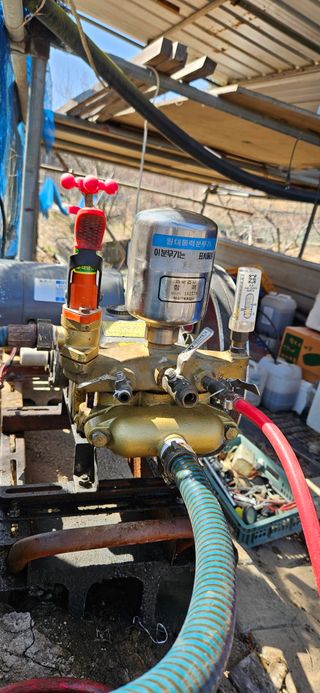 대봉농원 이경화님의 블루베리 · 영농일지 작성글 사진