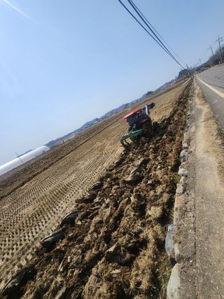 황미순님의 기타작물 · 영농일지 작성글 사진