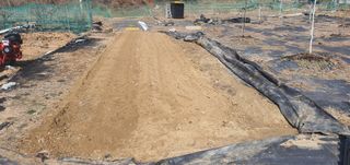 박상중님의 기타작물 · 영농일지 작성글 사진