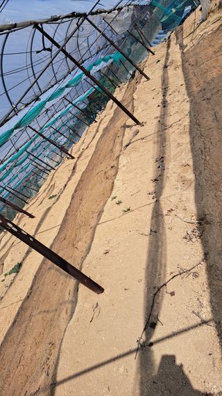 조연만님의 기타작물 · 영농일지 작성글 사진