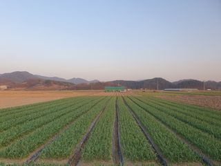 호박20769님의 기타작물 · 영농일지 작성글 사진