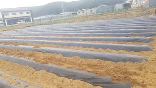 최춘득 청대산 님의 기타작물 · 영농일지 작성글 사진