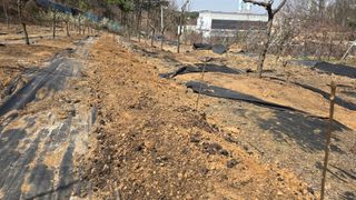 이병희님의 기타작물 · 영농일지 작성글 사진