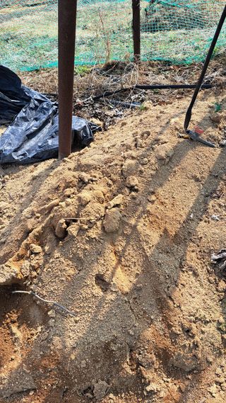 조연만님의 기타작물 · 영농일지 작성글 사진