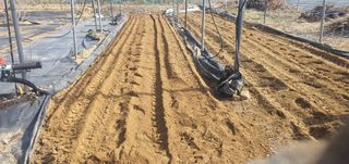 박상중님의 기타작물 · 영농일지 작성글 사진