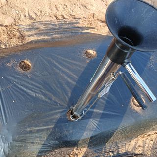 김성구님의 콩 · 영농일지 작성글 사진