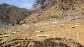 고춘석(고랑과이랑)님의 기타작물 · 영농일지 작성글 사진