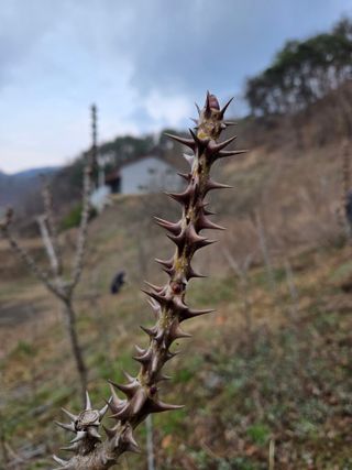 윤자용11대임후회장님의 기타작물 · 영농일지 작성글 사진