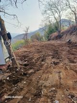 팜모닝 기타작물·영농일지 게시글 이미지