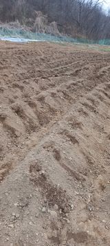 팜모닝 기타작물·영농일지 게시글 이미지