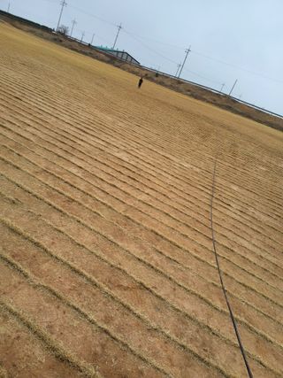 최유순님의 기타작물 · 영농일지 작성글 사진