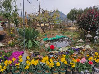 이수현님의 기타작물 · 영농일지 작성글 사진