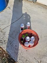 팜모닝 기타작물·영농일지 게시글 이미지