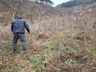 윤자용11대임후회장님의 기타작물 · 영농일지 작성글 사진