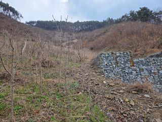 윤자용11대임후회장님의 기타작물 · 영농일지 작성글 사진