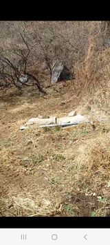 팜모닝 기타작물·영농일지 게시글 이미지