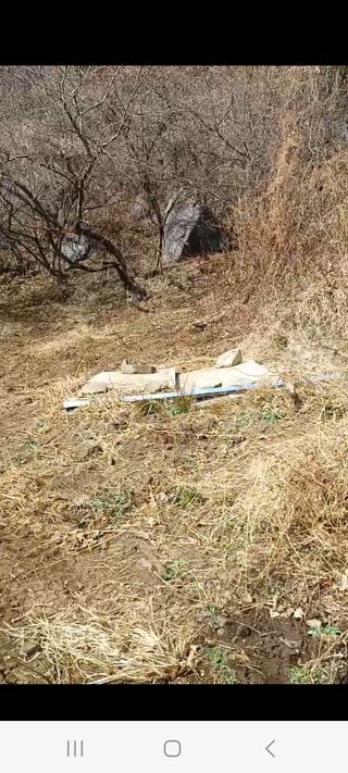 오금식(대청농원)님의 기타작물 · 영농일지 작성글 사진