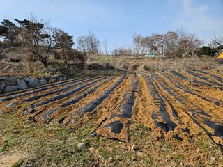 이기연님의 기타작물 · 영농일지 작성글 사진