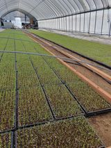 팜모닝 파·영농일지 게시글 이미지