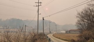 박사원농장님의 기타작물 · 영농일지 작성글 사진