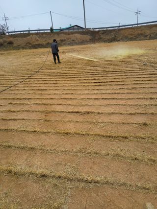 최유순님의 기타작물 · 영농일지 작성글 사진