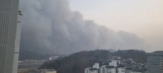 박사원농장님의 기타작물 · 영농일지 작성글 사진