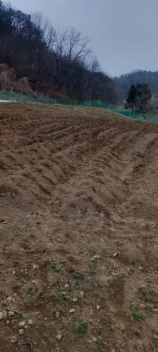 고병길님의 기타작물 · 영농일지 작성글 사진