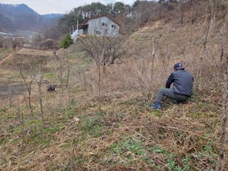 윤자용11대임후회장님의 기타작물 · 영농일지 작성글 사진