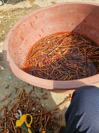 농업회사법인무지개주식회사님의 기타작물 · 영농일지 작성글 사진