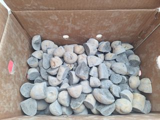 정희군님의 감자 · 영농일지 작성글 사진