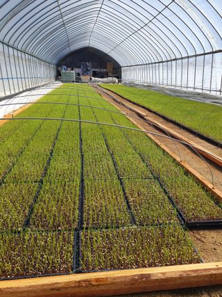 장정구님의 파 · 영농일지 작성글 사진