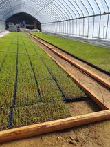 팜모닝 파·영농일지 게시글 이미지