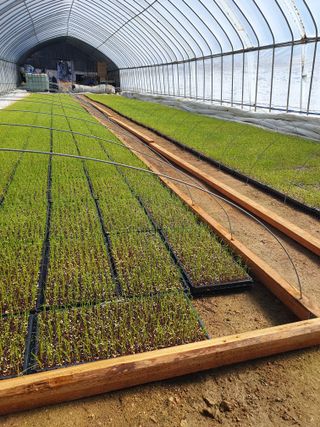 장정구님의 파 · 영농일지 작성글 사진