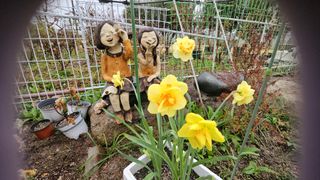 이수현님의 기타작물 · 영농일지 작성글 사진