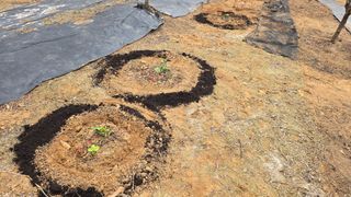 이병희님의 기타작물 · 영농일지 작성글 사진