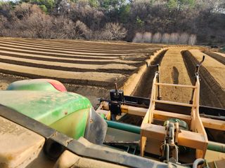 하늘아래삼 님의 기타작물 · 영농일지 작성글 사진