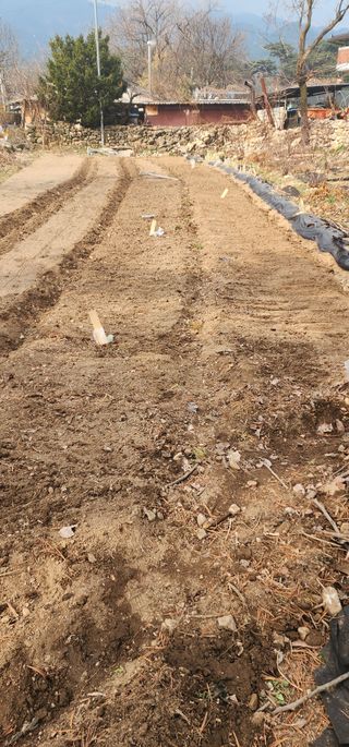 김제일님의 기타작물 · 영농일지 작성글 사진