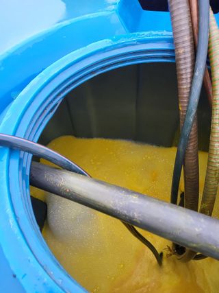 최유순님의 기타작물 · 영농일지 작성글 사진