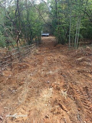 오금식(대청농원)님의 기타작물 · 영농일지 작성글 사진