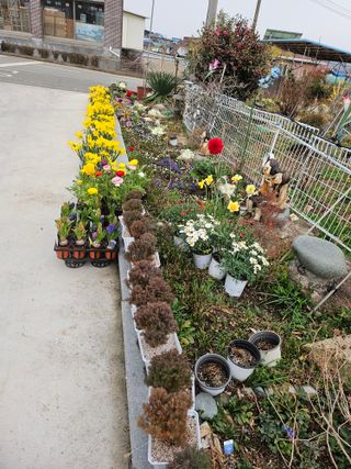 이수현님의 기타작물 · 영농일지 작성글 사진