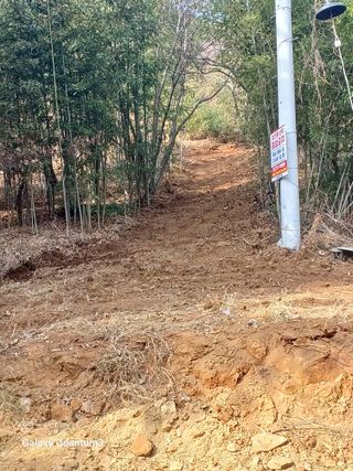 오금식(대청농원)님의 기타작물 · 영농일지 작성글 사진