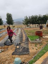 팜모닝 기타작물·영농일지 게시글 이미지