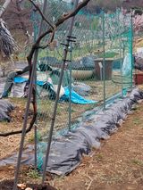 팜모닝 기타작물·영농일지 게시글 이미지