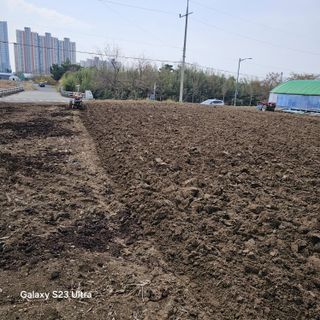 박용열조물주님 님의 기타작물 · 영농일지 작성글 사진