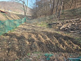 한상훈님의 상추 · 영농일지 작성글 사진