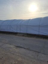 팜모닝 기타작물·영농일지 게시글 이미지