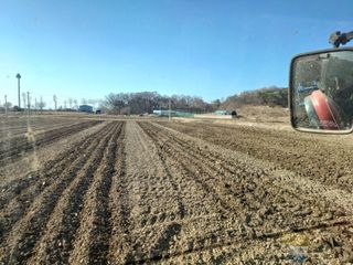 벼7893님의 벼 · 영농일지 작성글 사진