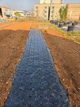 팜모닝 기타작물·영농일지 게시글 이미지