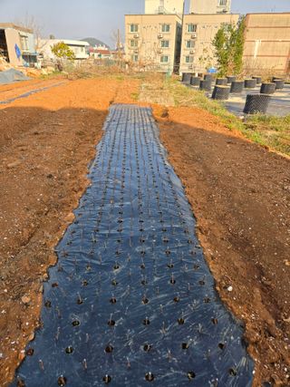 큐체리원님의 기타작물 · 영농일지 작성글 사진