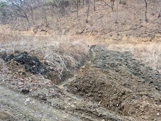 오세남자님의 콩 · 영농일지 작성글 사진